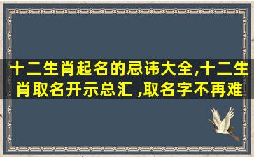 十二生肖起名的忌讳大全,十二生肖取名开示总汇 ,取名字不再难